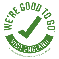 We're good to go logo