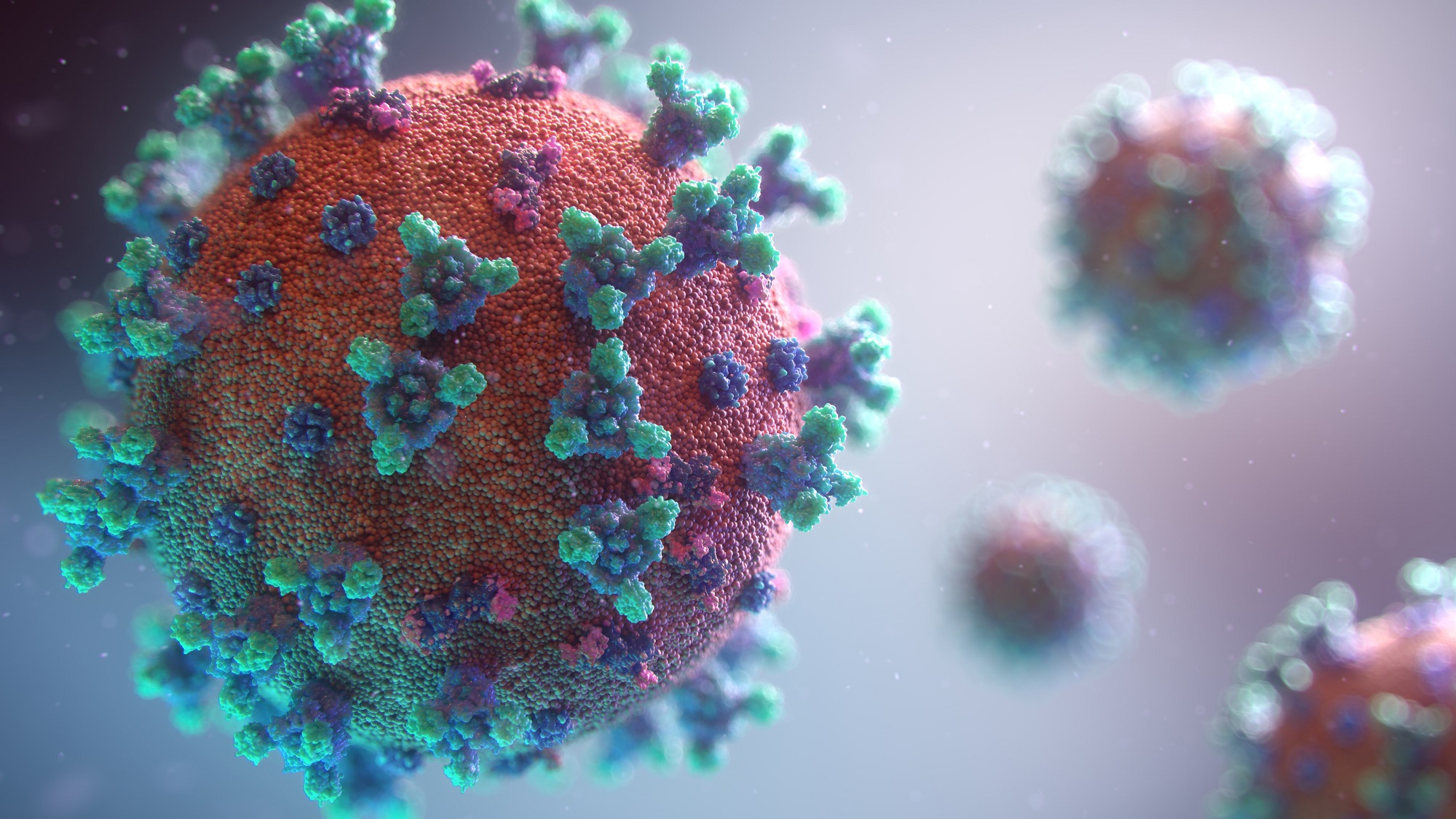 Coronavirus graphic