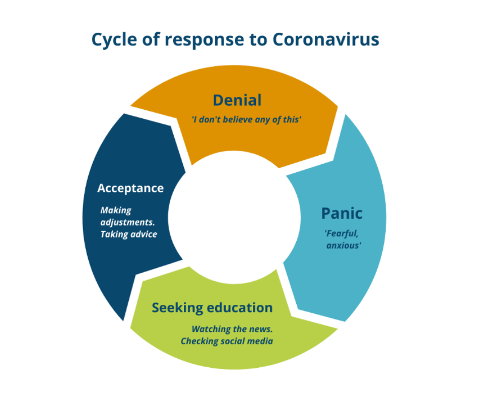 Cycle of response to coronavirus