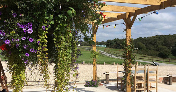 Longthorns Farm pergola