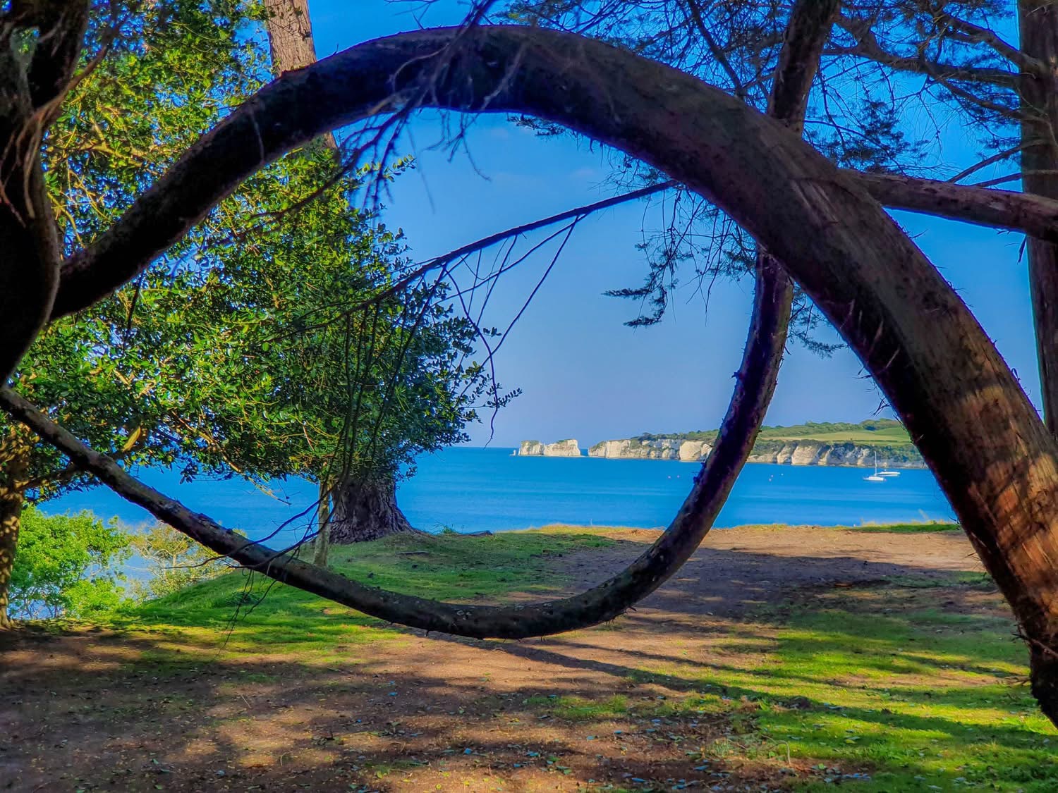 Studland Bay House - Direct Access to Beach below