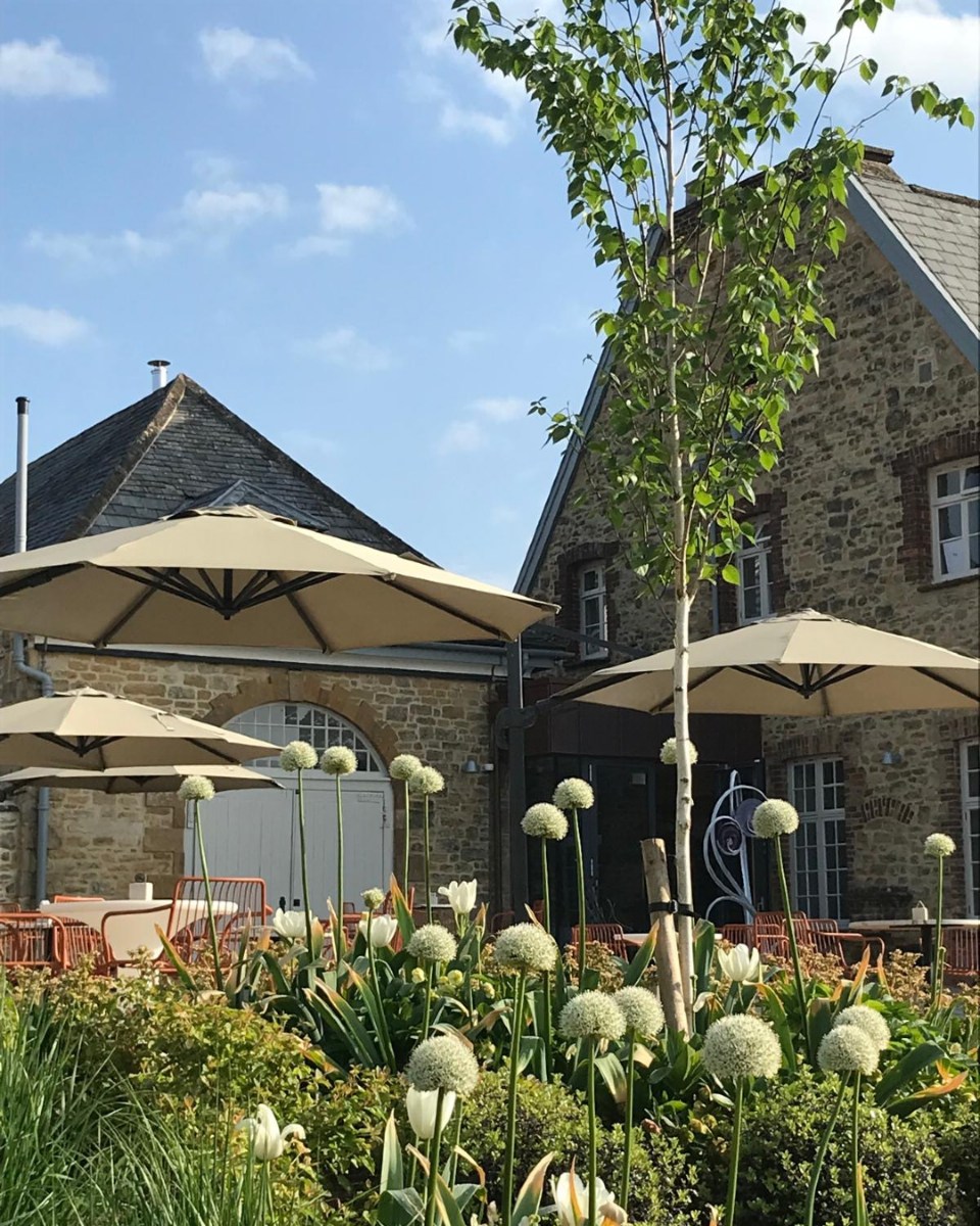 The Sherborne Alliums