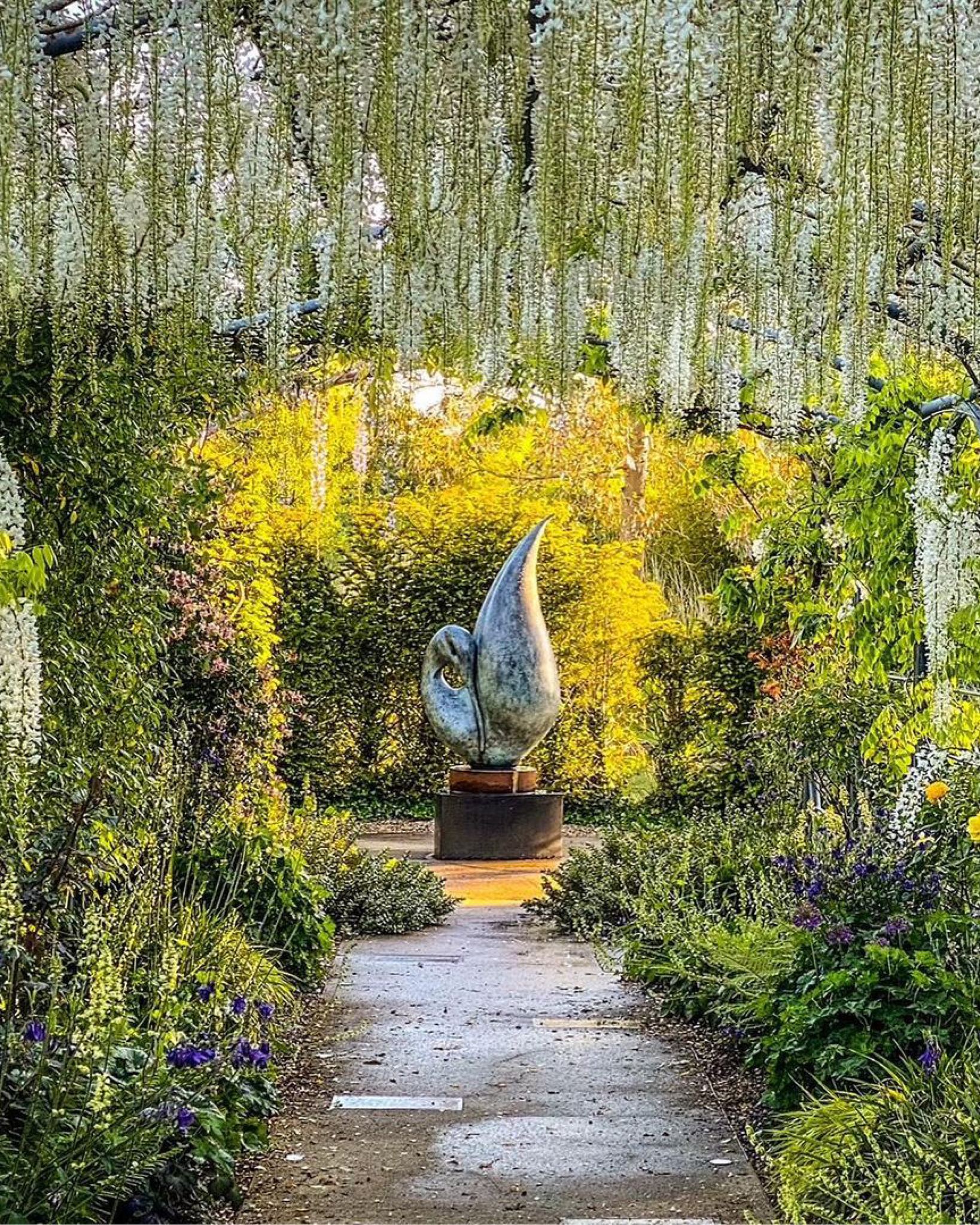 The Sherborne - Laburnum