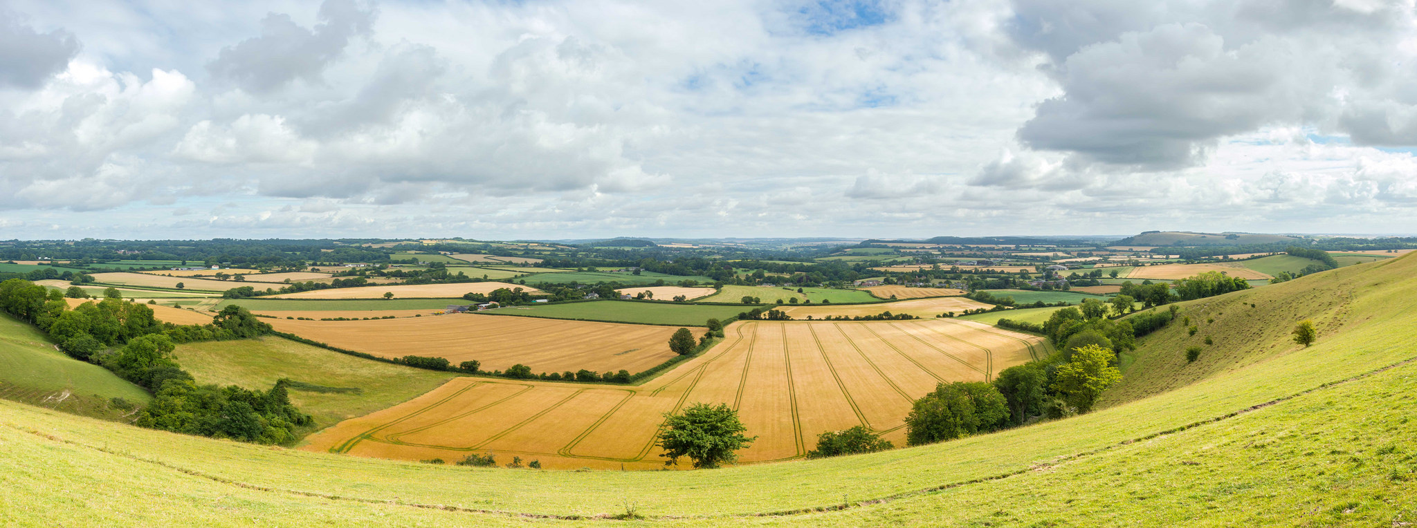 Melbury Downs Panorama, Dorset by Jack Pease