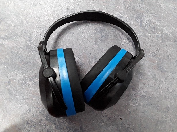 blue ear defenders