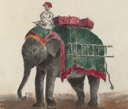Painting of a man riding an elephant. The elephant has a green blanket over it and is carrying a ladder to the side, and some suitcases on its back behind the man.