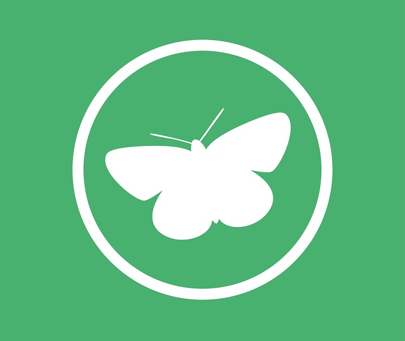 Whit butterfly on green background representing Protecting our natural environment