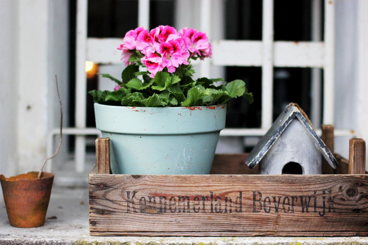 Plant pot with pink flowers in a wooden crate
