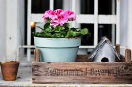 Garden Waste collection service - Dorset Council