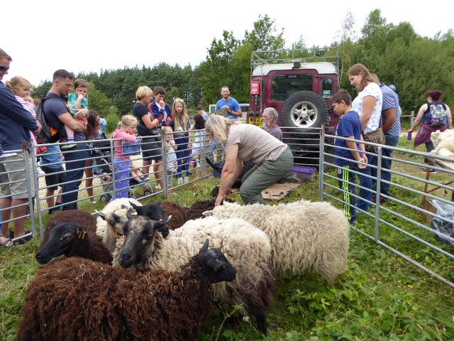 Events at Avon Heath