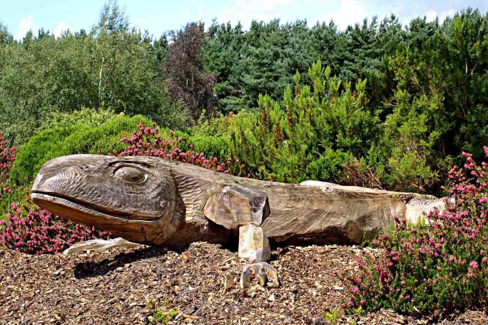 What to see and do at Avon Heath
