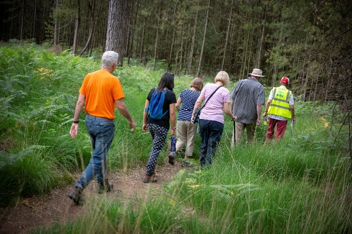 Activate health walks