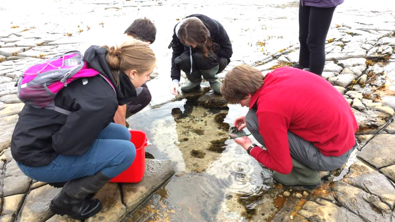 Student exploring rock pools during a field study trip