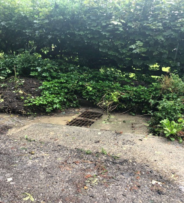 Example of a gully is Osmington Drove