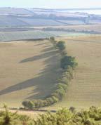 Ridge and Vale West of Weymouth