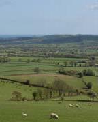 the marshwood vale