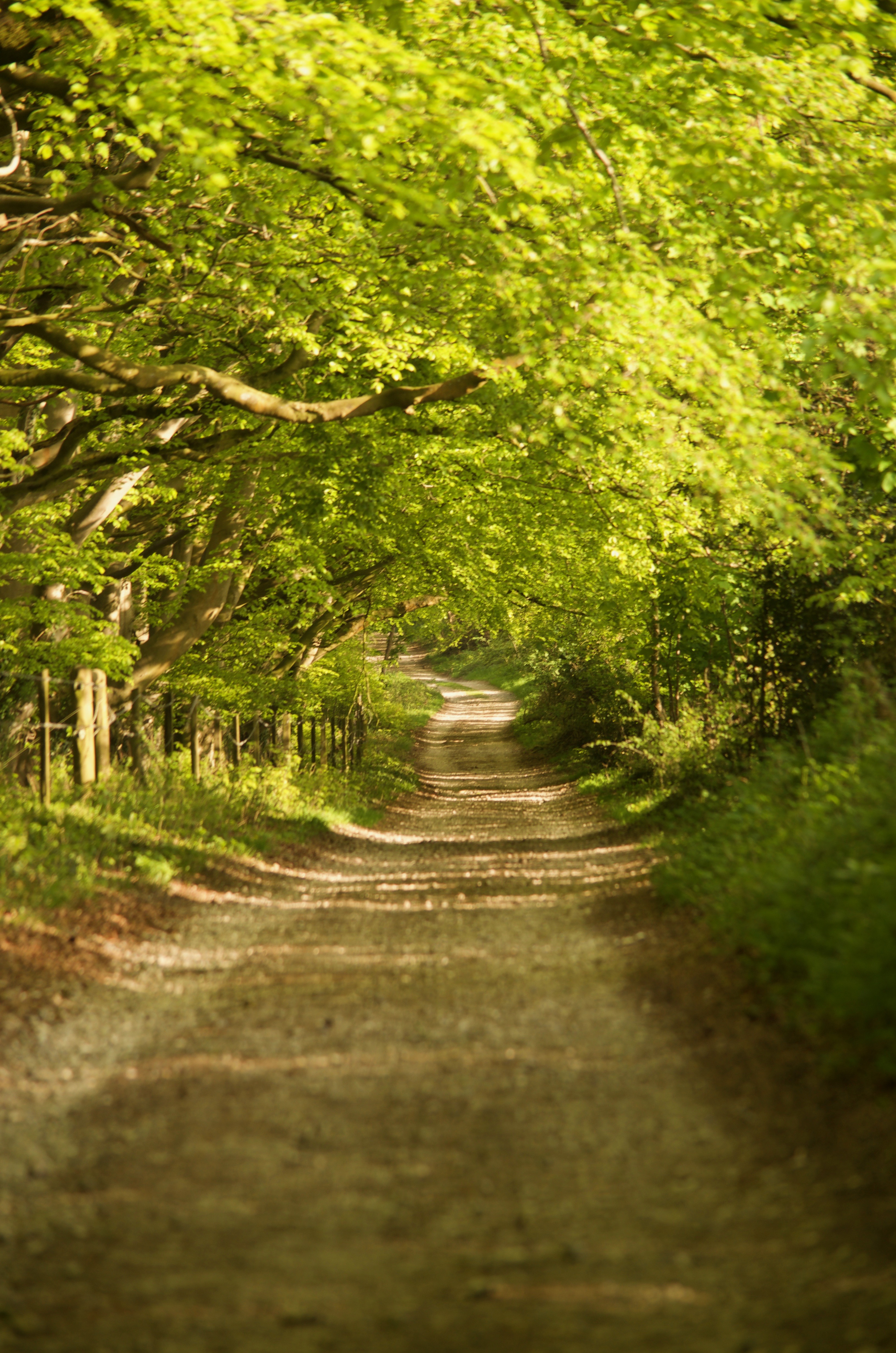 Country track