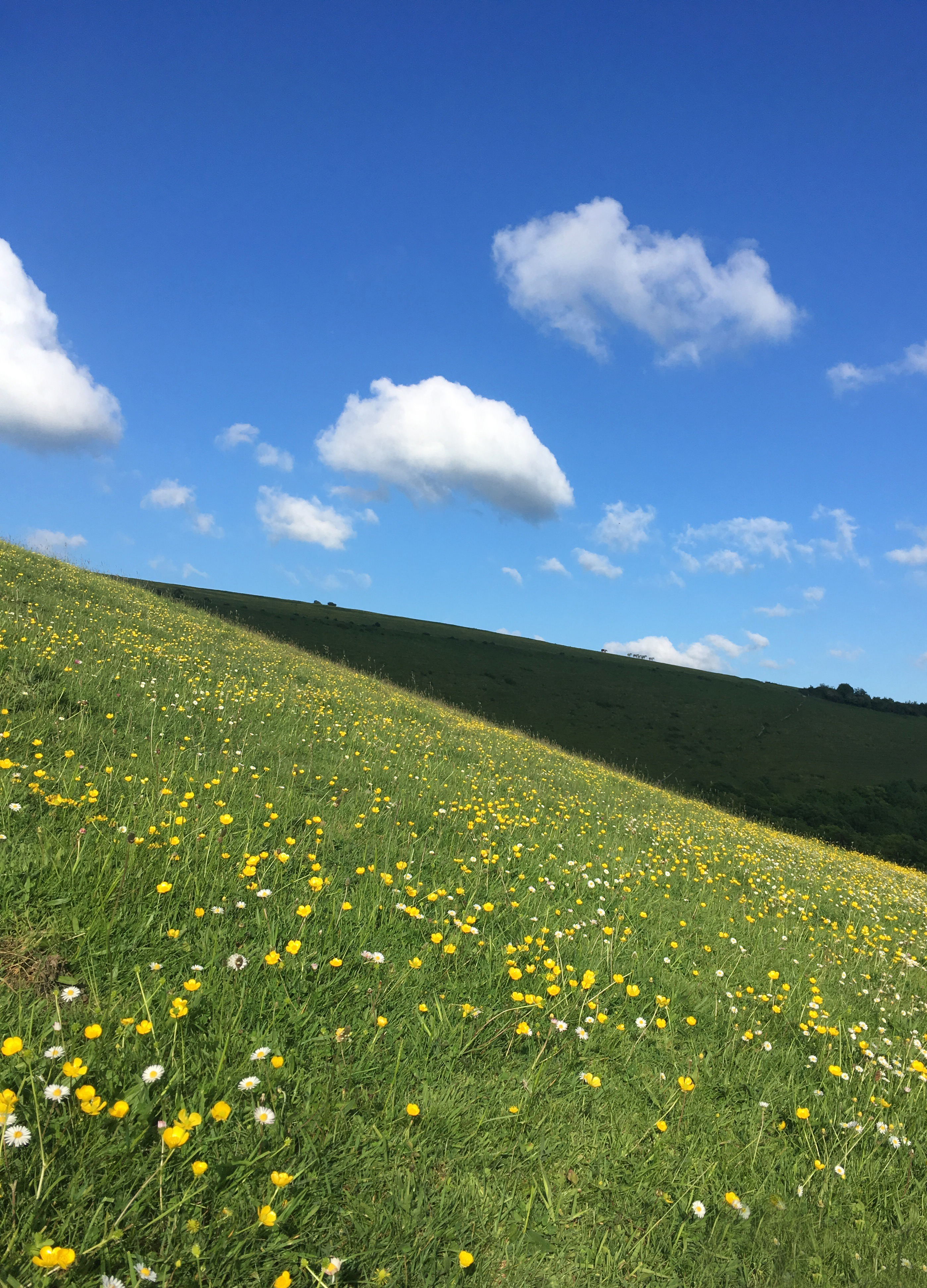 Countryside
