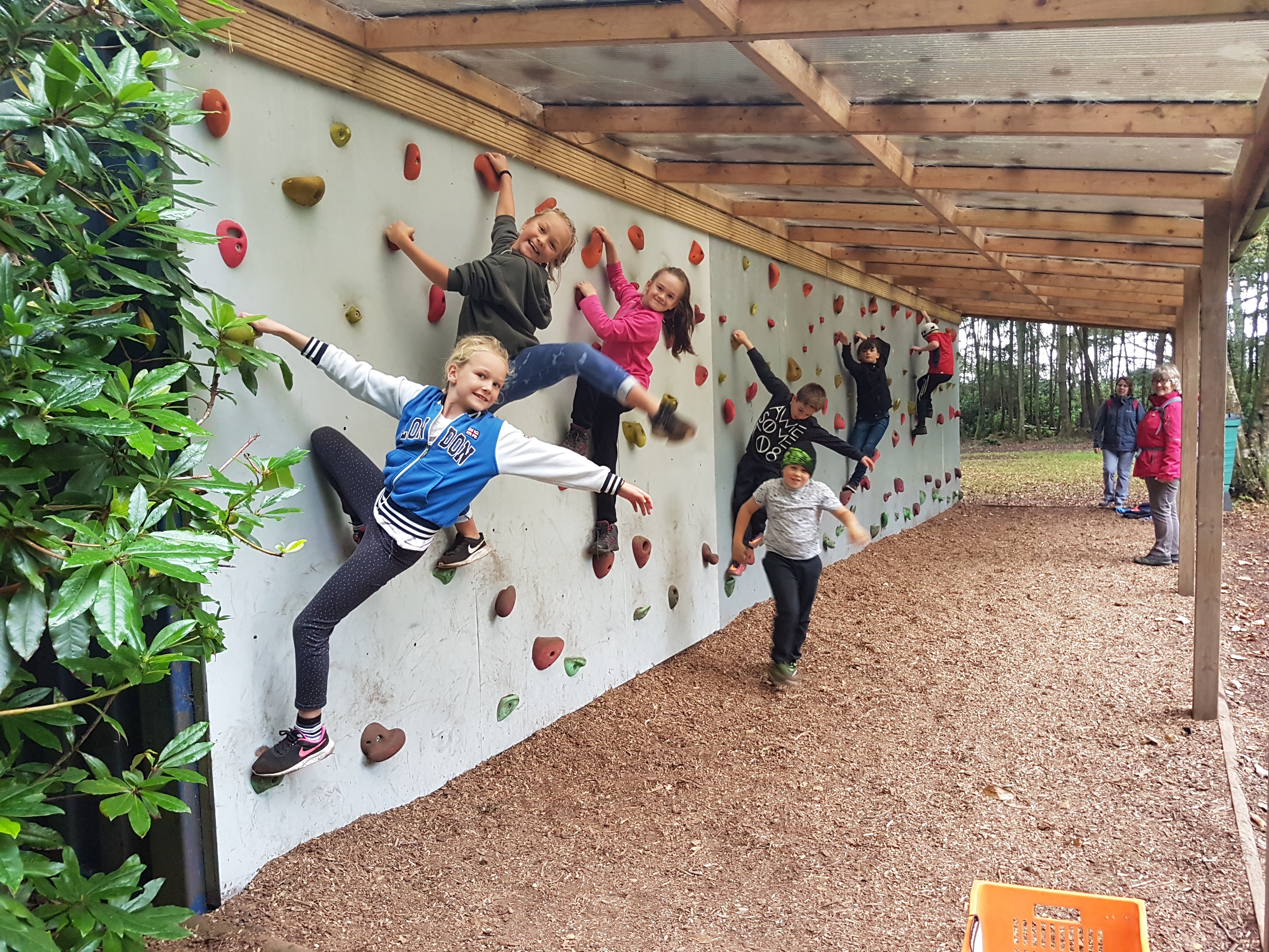 Carey Outdoor Education Centre climbing wall