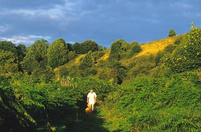 Castle_Hill Shaftesbury