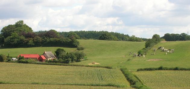 west-morden-from-bridleway