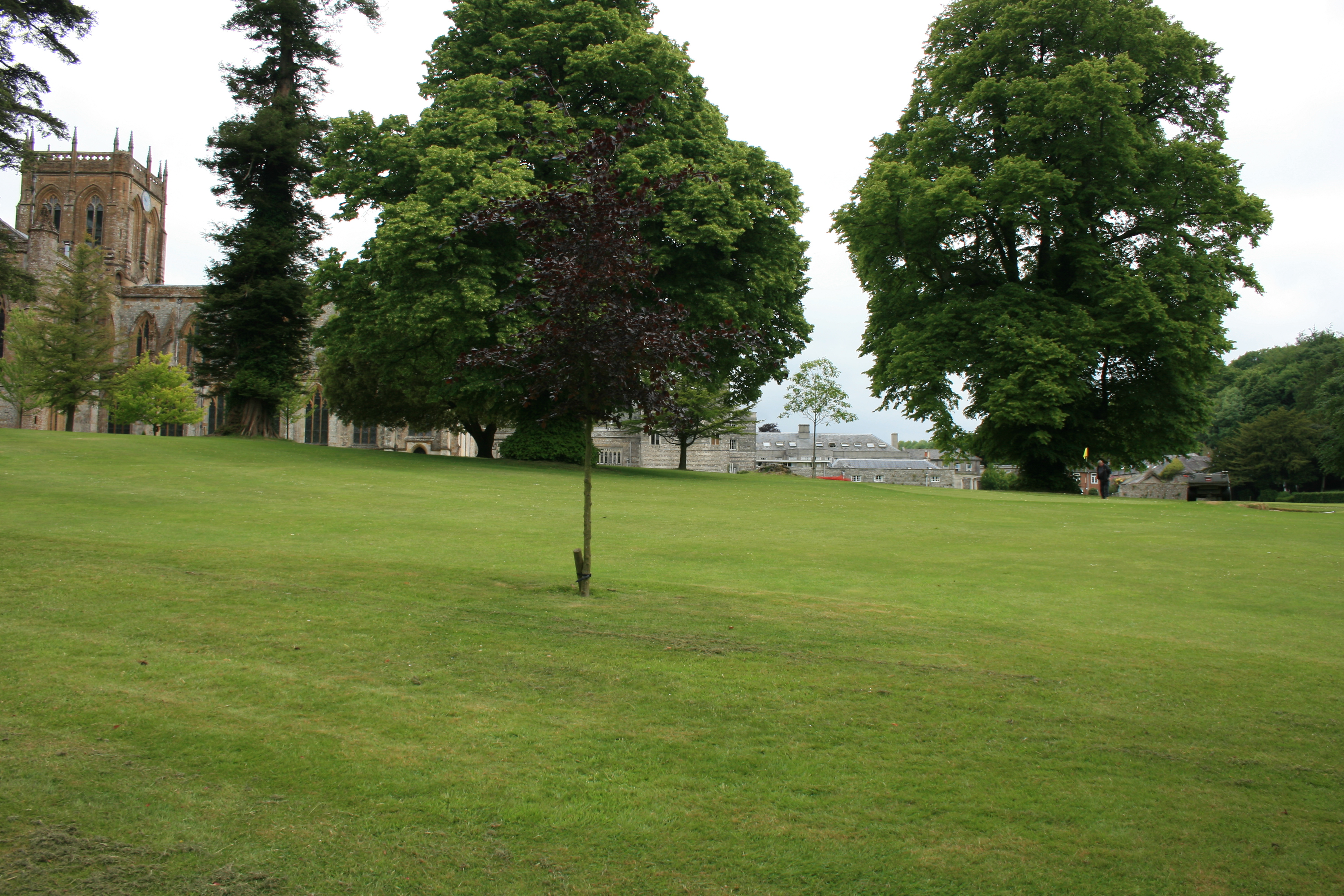 Milton Abbey park