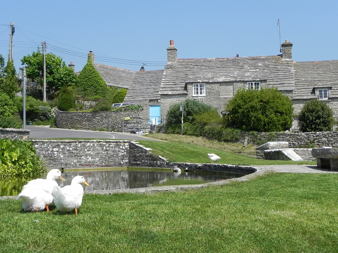 Worth Matravers duck pond non copyright