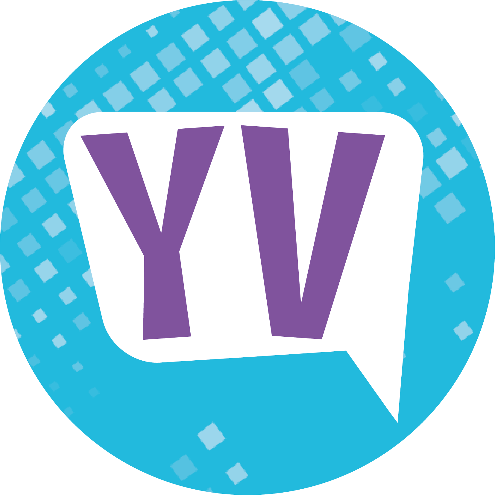 Dorset Youth Voice logo on a pale blue background