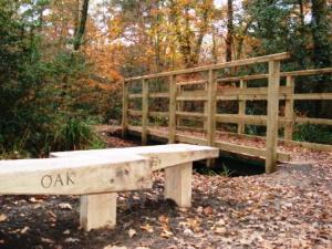 Upton wood bridge in Autumn