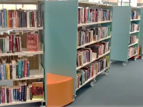 This picture shows shelves of books and dvds.