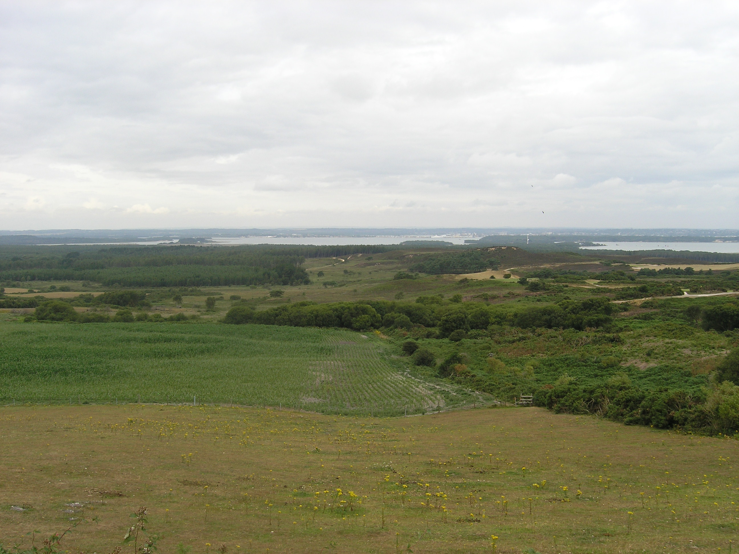 Newton Studland view to Poole Harbour