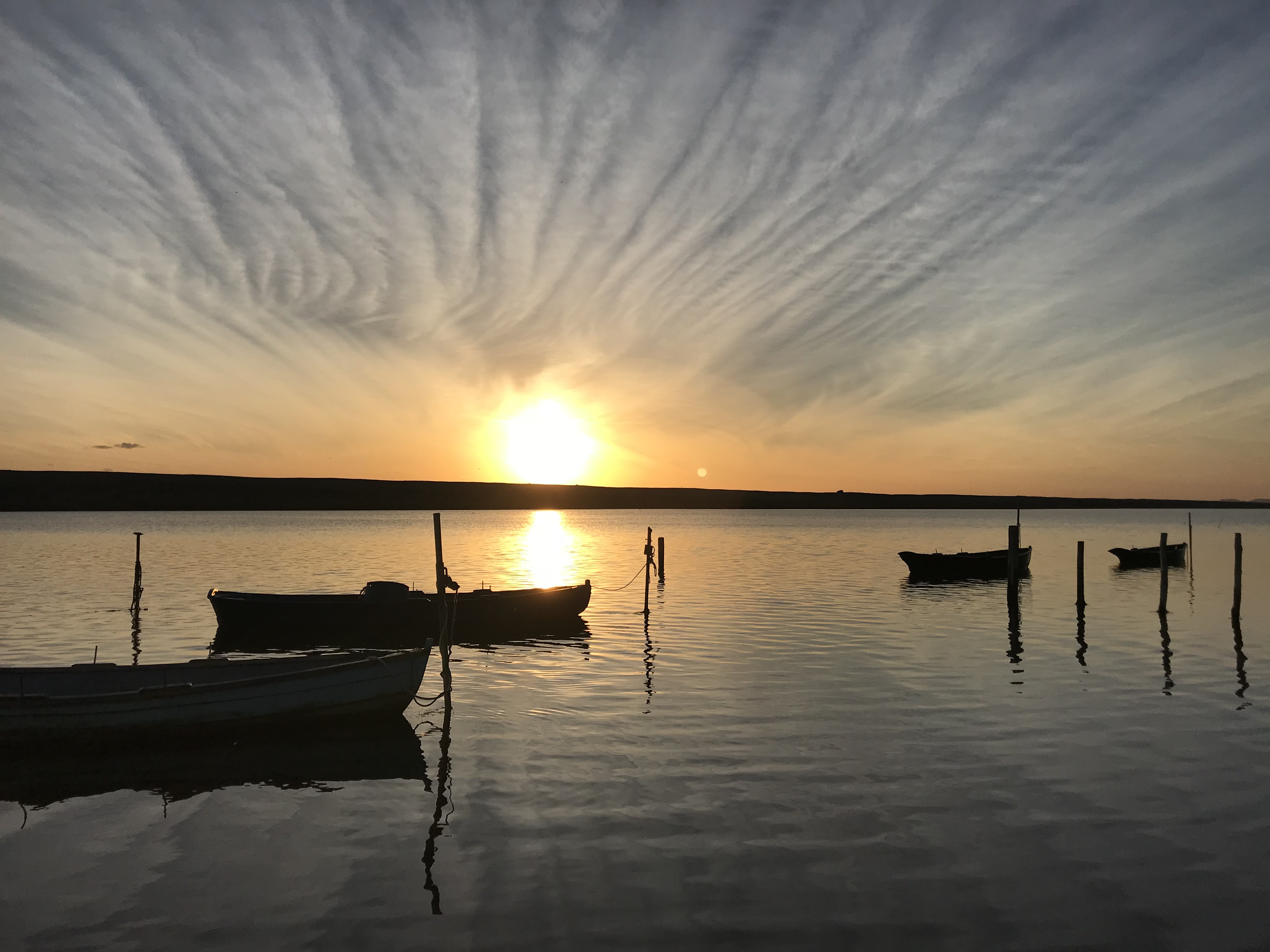 Fleet at sunset