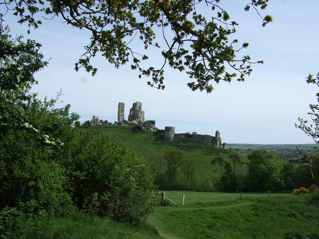 View of Corfe Castle from Purbeck Way non copyright