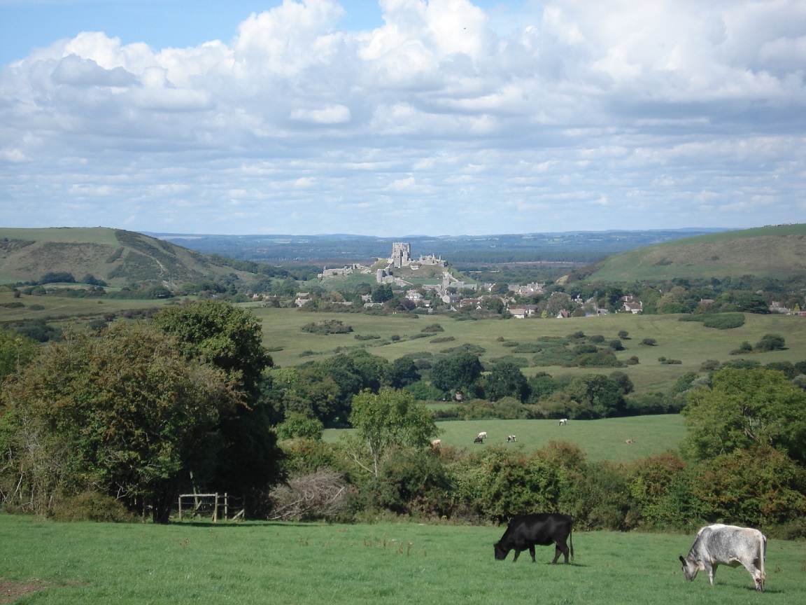 View from Purbeck Way PDC staff copyright resized