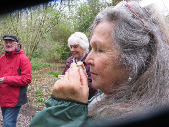 A woman is sniffing a leaf in a woodland setting, while some others look on.