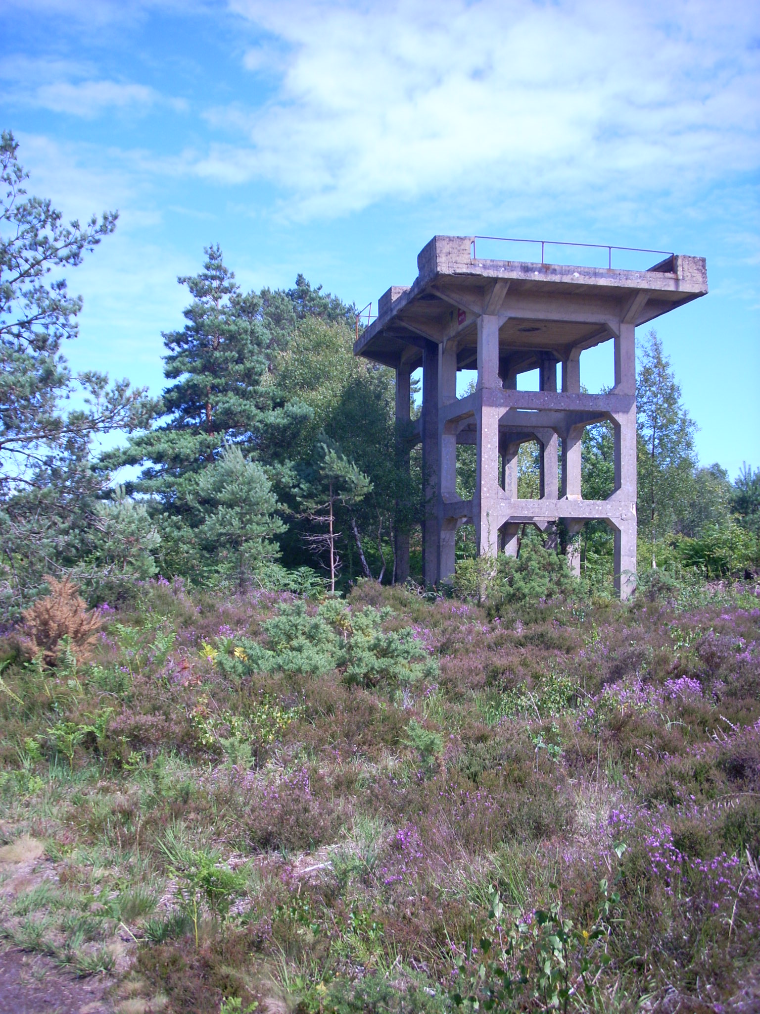 Guntower at Sandford Heath copyright Sandford Heritage Project contact Bev Lagden (2)