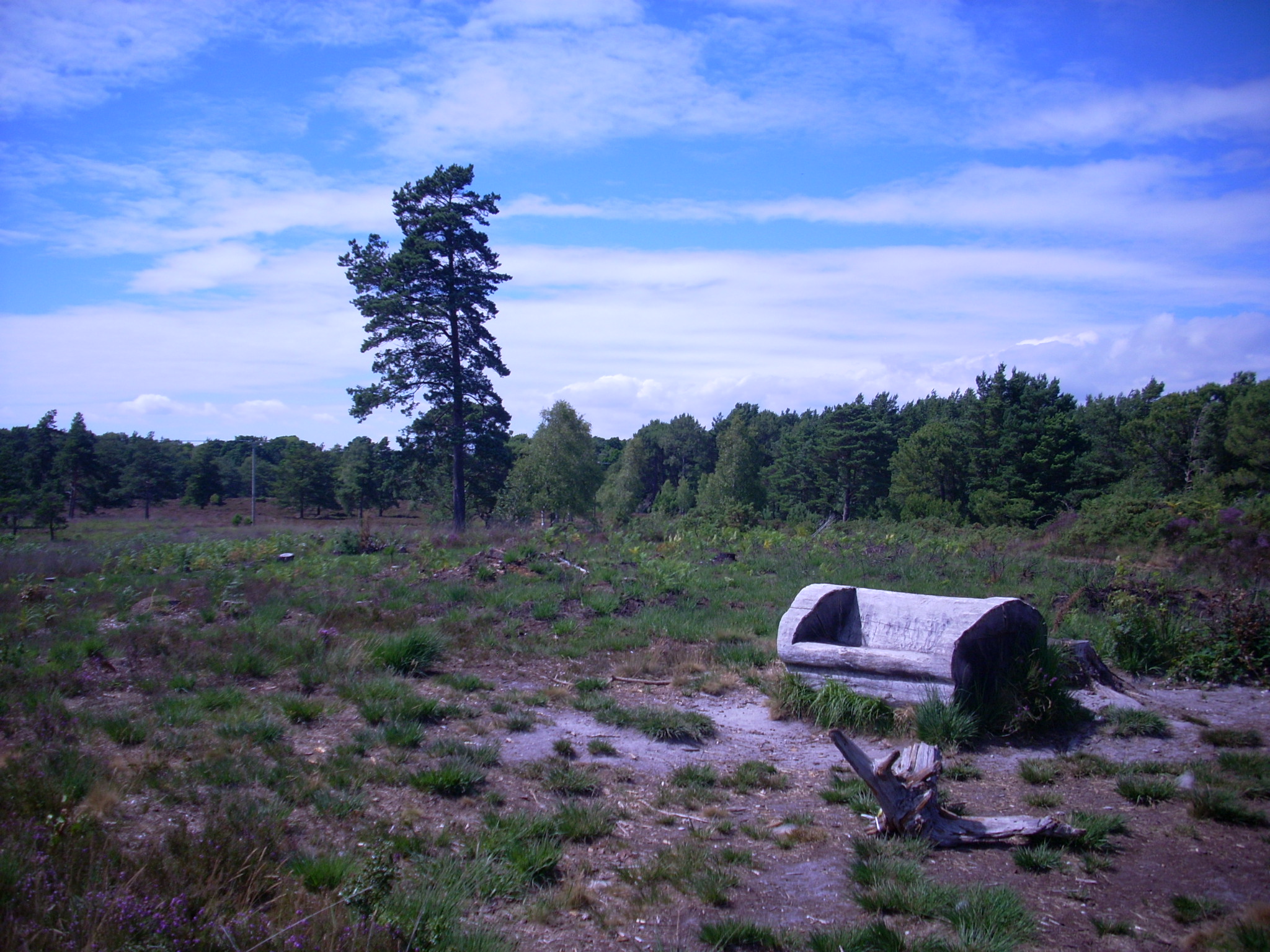 Sandford Heath copyright Sandford Heritage Project contact Bev Lagden