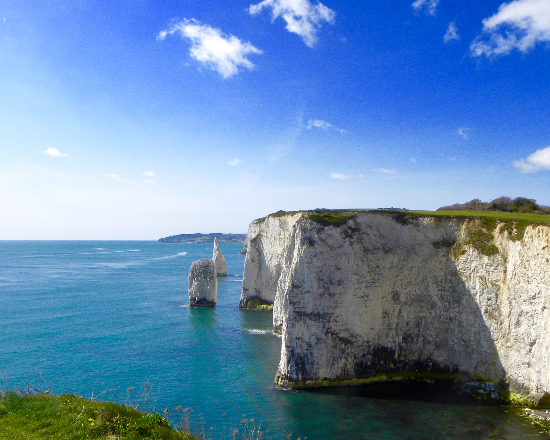 old-harry-studland-non-coyright-HL