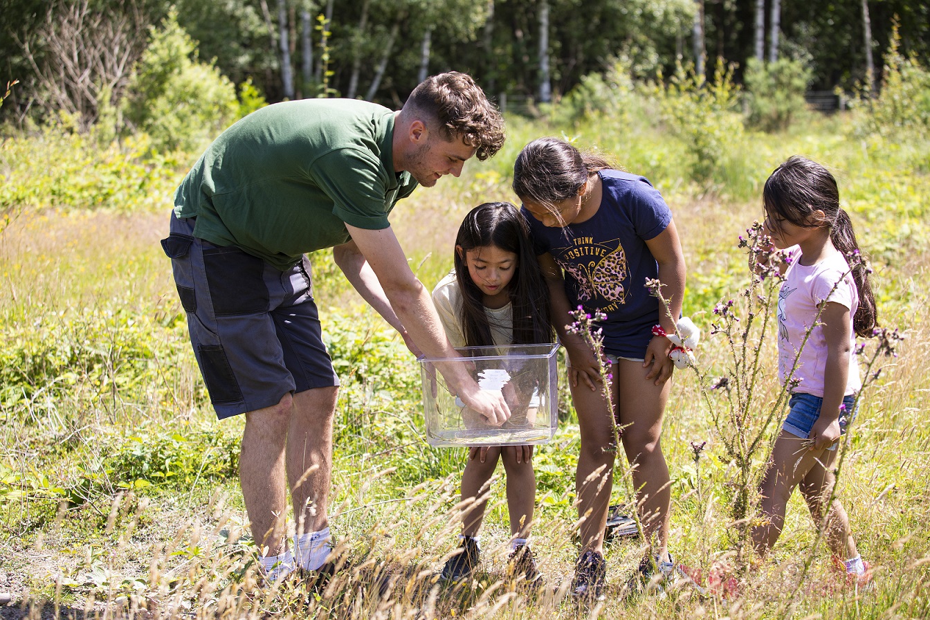 A ranger and three children looking at minibeasts in a clear container