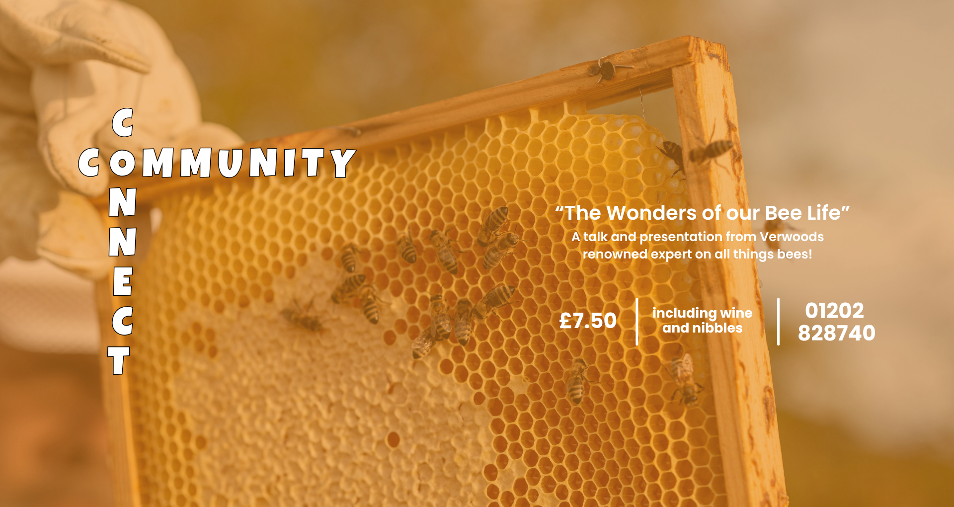 Community Connects: The Wonders of our Bee Life