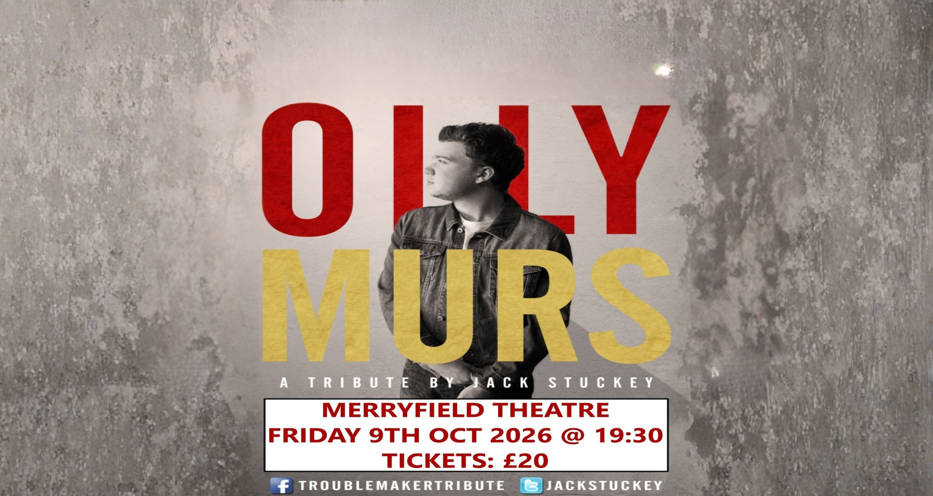 Troublemaker - Olly Murs Experience