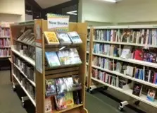 This is a picture of shelving full of books.