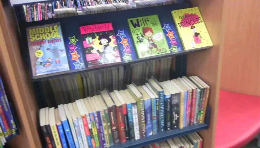 This is a picture of shelving full of books.