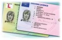This is a picture of a sample driving licence which can be used as a form of identification for library membership.