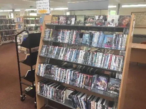 This is an image of a shelving unit filled with DVD's.