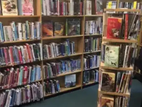 This is an image of shelves of books.