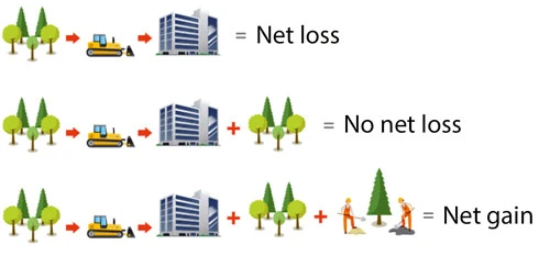 Infographic showing biodiversity net loss and net gain in developments