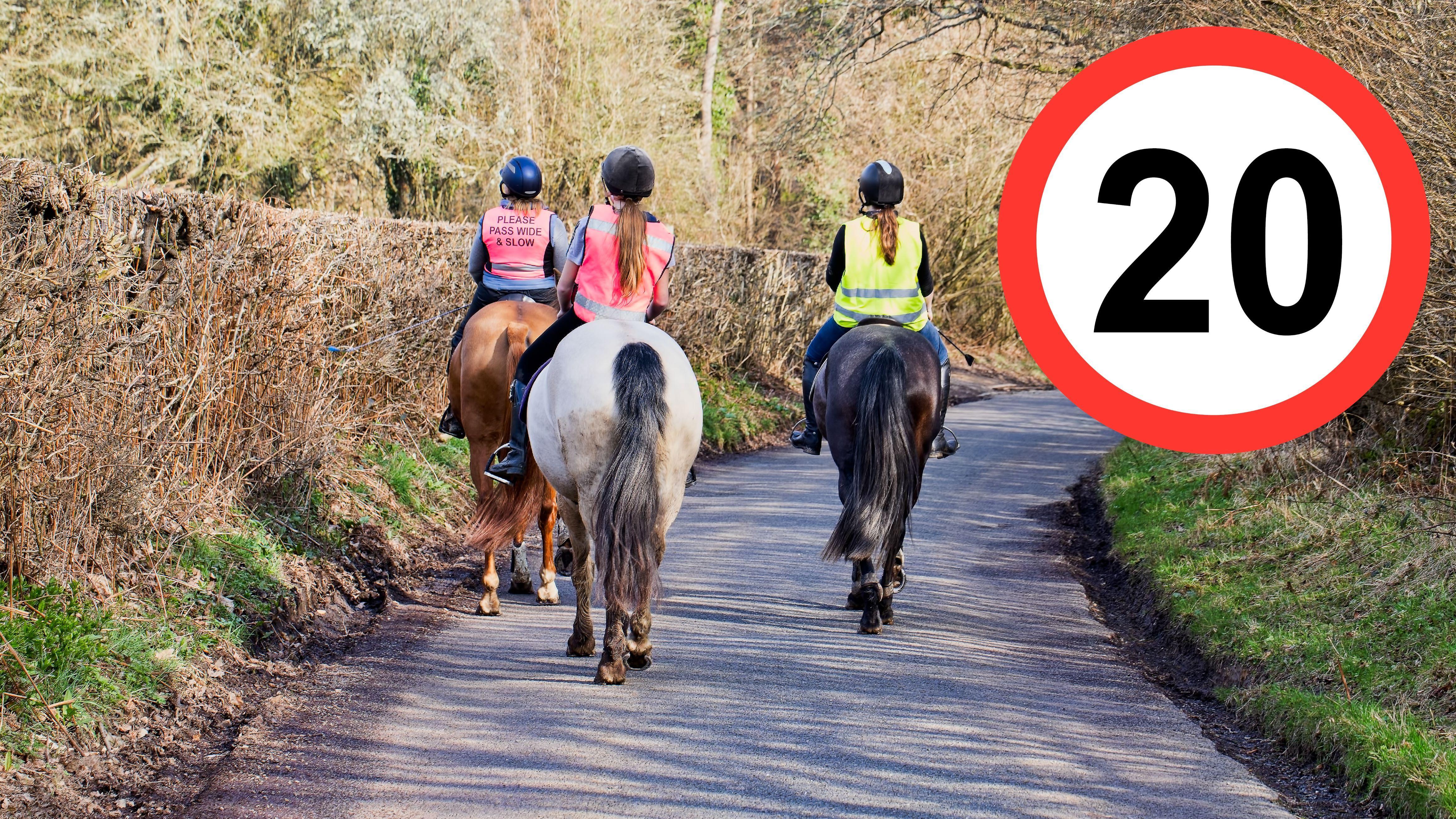 People riding horses down a narrow road