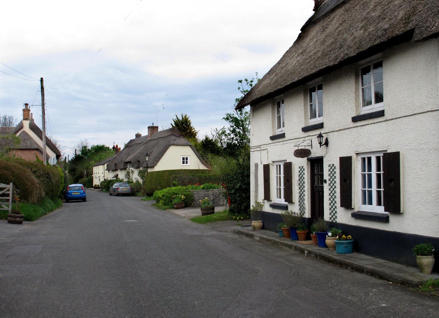 Thatched cottages in Bere Regis