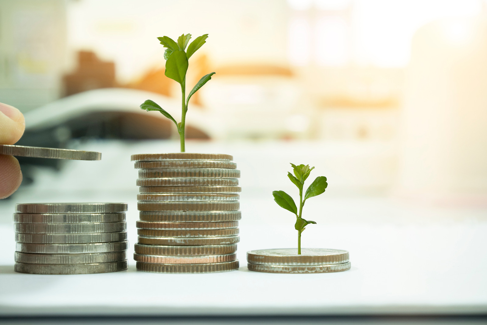 Coins sprouting growth
